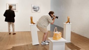 Enthousiasme van amateurfotografen